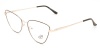 AG 70189 c1 AG 70189 c1