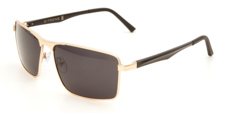 ZS 17-002 01Z